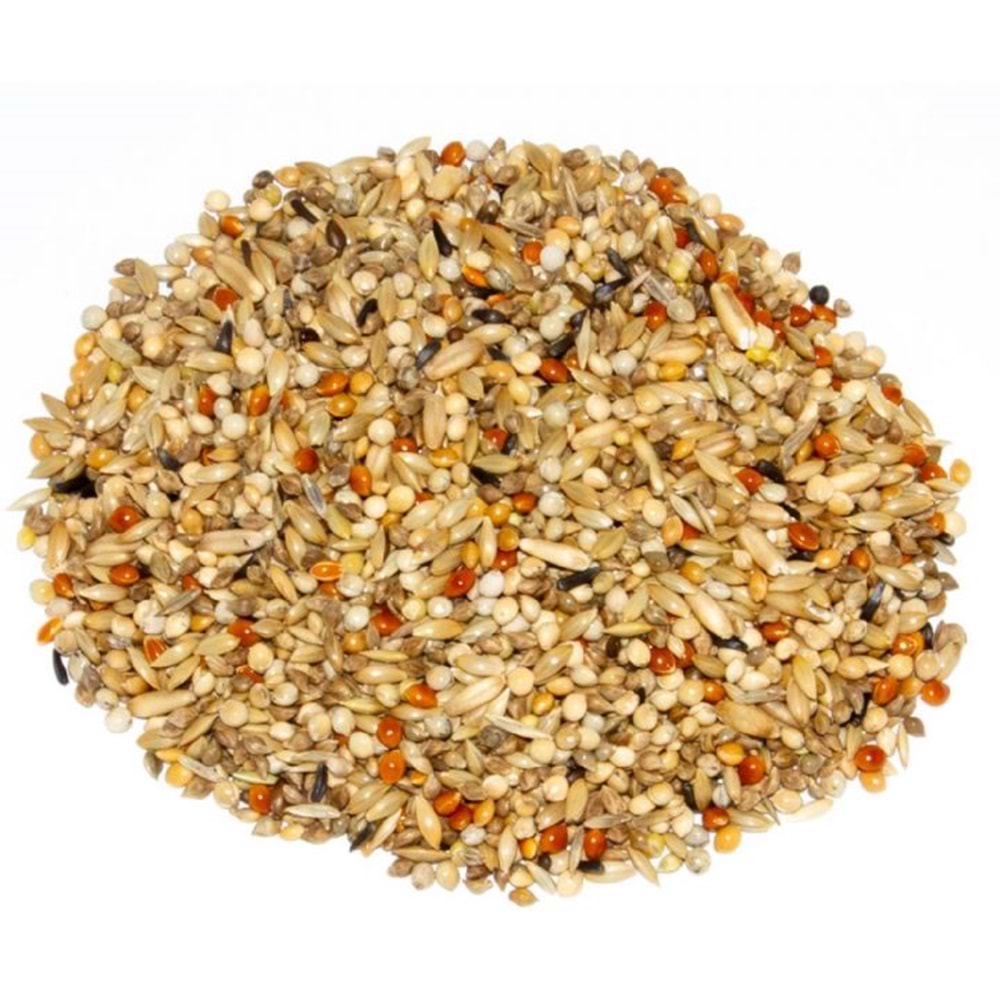 DELİ NATURE 74 DANIEL LUTOLF SUPER CHAMPION EXCLUSIVE MUHABBET KUŞU YEMİ 20KG