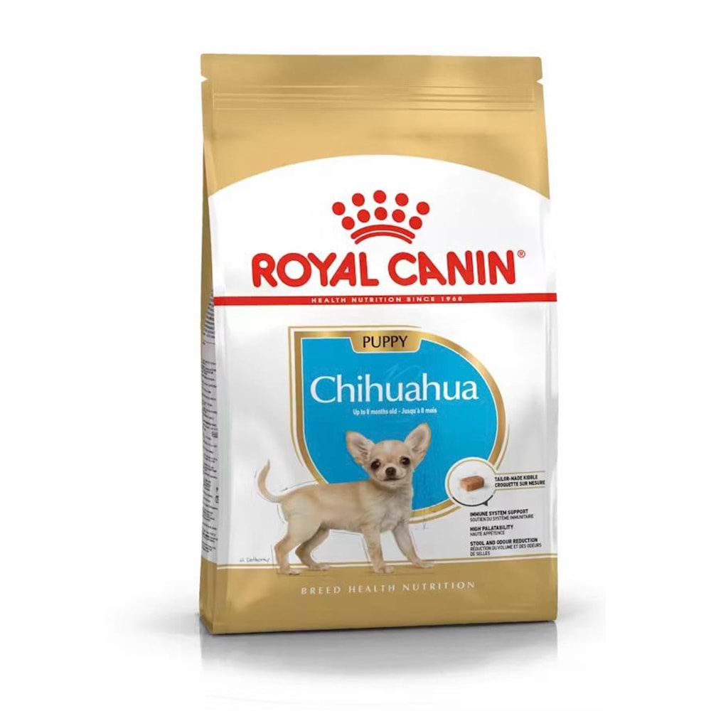 BHN CHIHUAHUA PUPPY KÖPEK MAMASI 1,5 KG