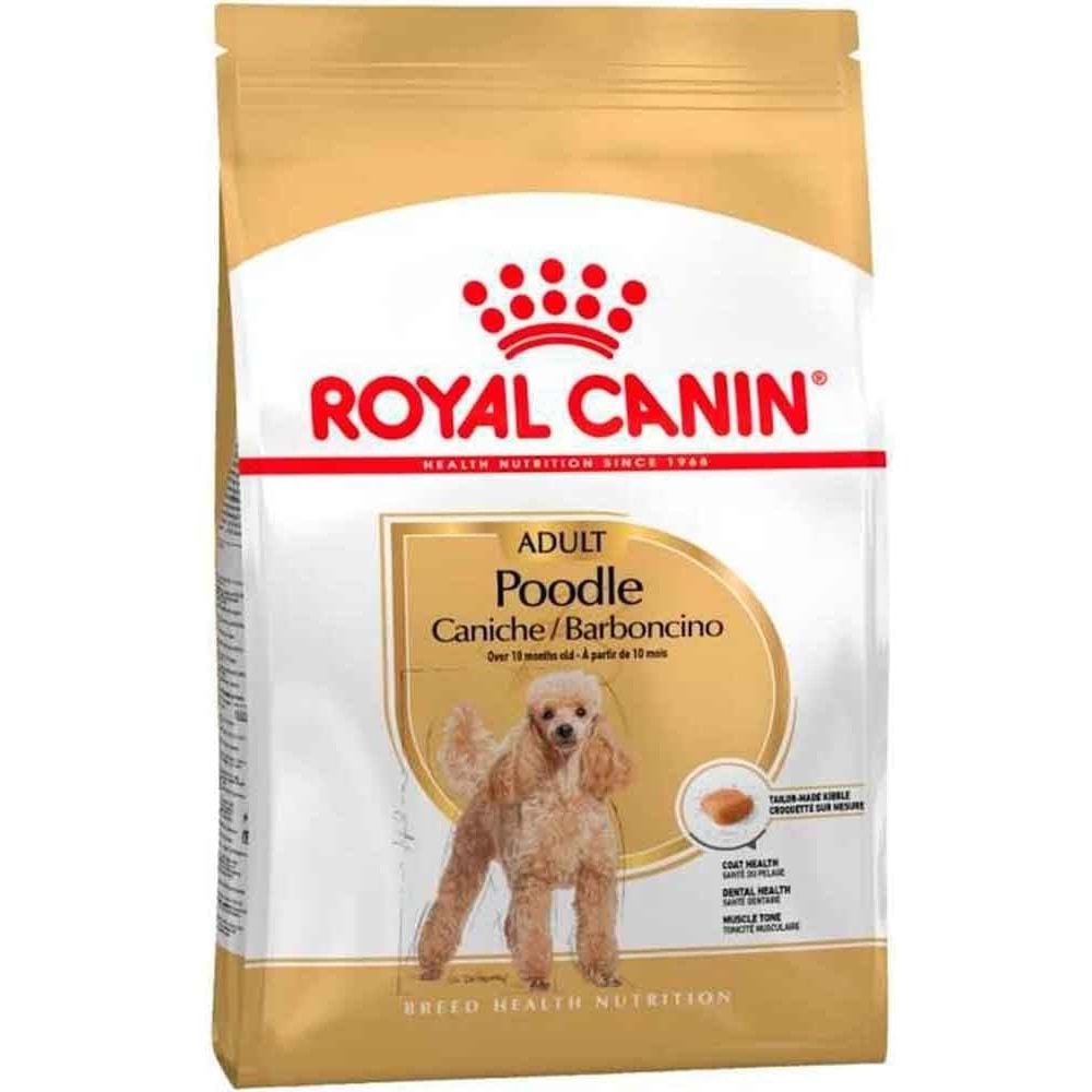 BHN POODLE ADULT KÖPEK MAMASI 3KG