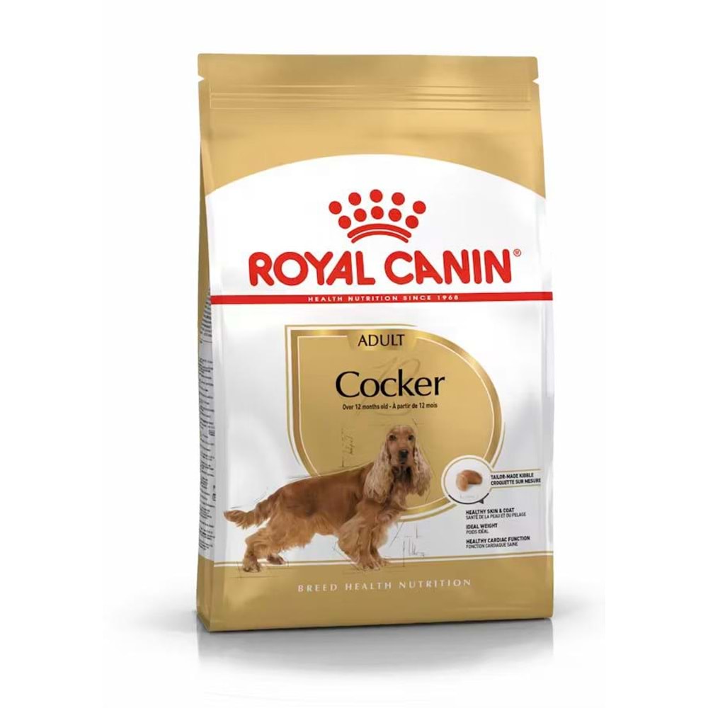 BHN COCKER ADULT KÖPEK MAMASI 3 KG