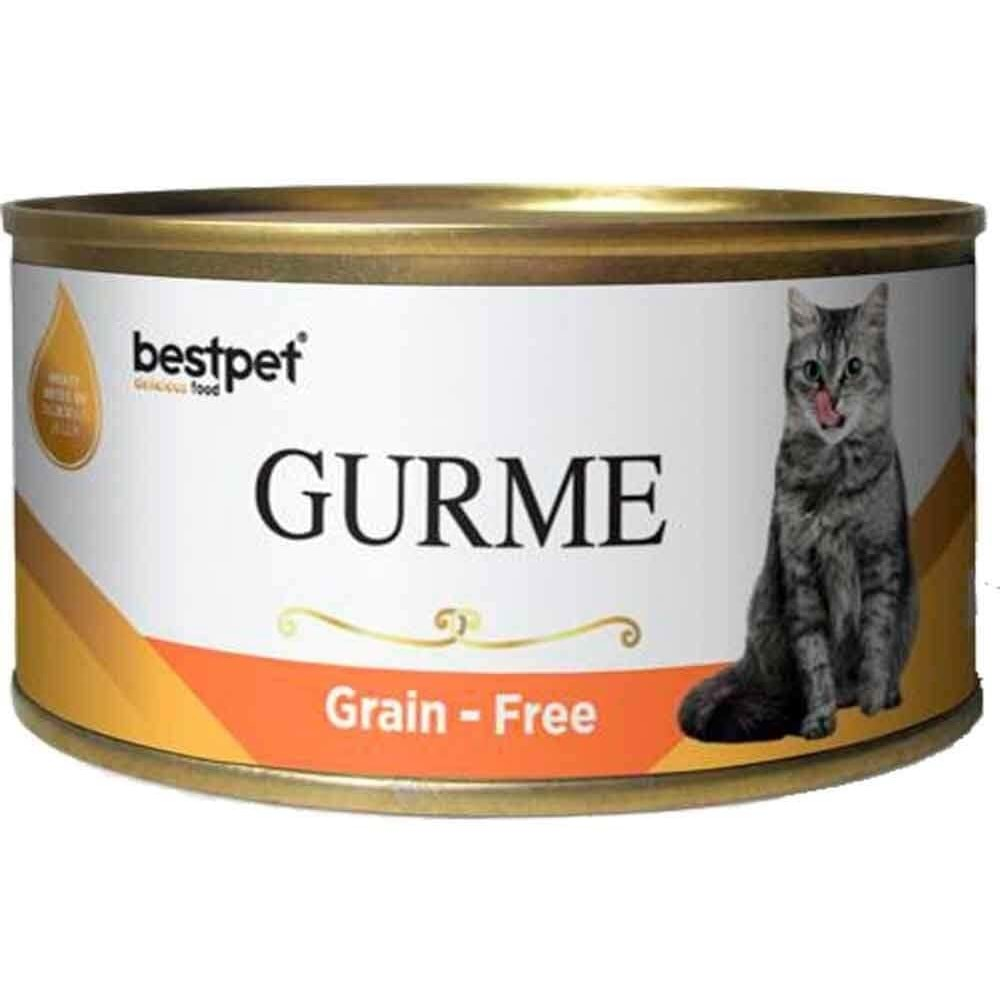 BESTPET GURME ADULT CAT SALMON IN JELLY 100 G