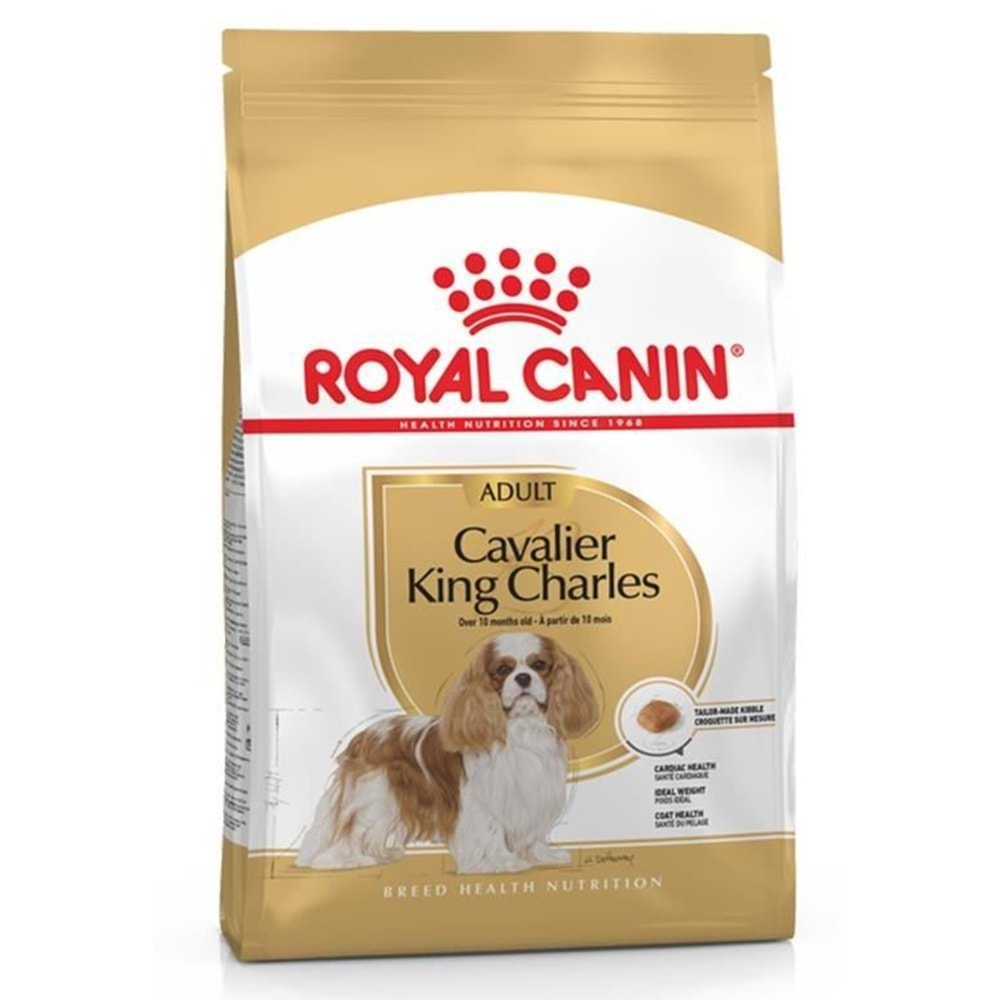 BHN CAVALİER KING CHARLES ADULT KÖPEK MAMASI 1,5 KG