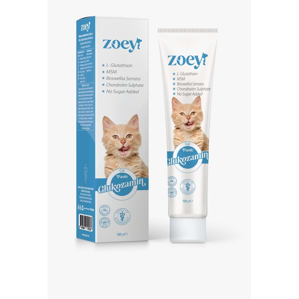 ZOEY GLUKOZAMİN PASTE 100GR