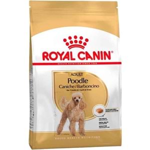 BHN POODLE ADULT KÖPEK MAMASI 3KG