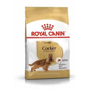 BHN COCKER ADULT KÖPEK MAMASI 3 KG