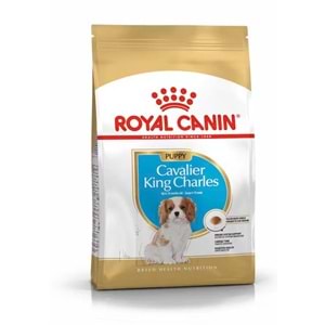 BHN CAVALİER KING CHARLES YAVRU KÖPEK MAMASI 1,5 KG