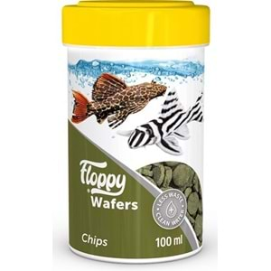 FLOPPY WAFERS CHIPS 100ML