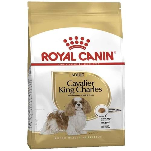 BHN CAVALİER KING CHARLES ADULT KÖPEK MAMASI 3 KG