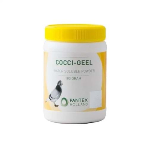 Pantex Holland Coccı-Geel 100 Gr