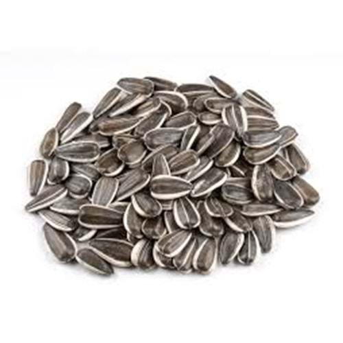 Süper Lüx Dakota Çekirdek 1 Kg