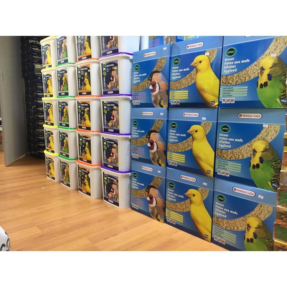 PETS FAMİLY PAPAĞAN YEMİ 600GR