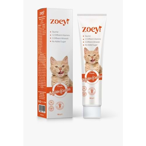 ZOEY MULTİVİTAMİN PASTE 100GR